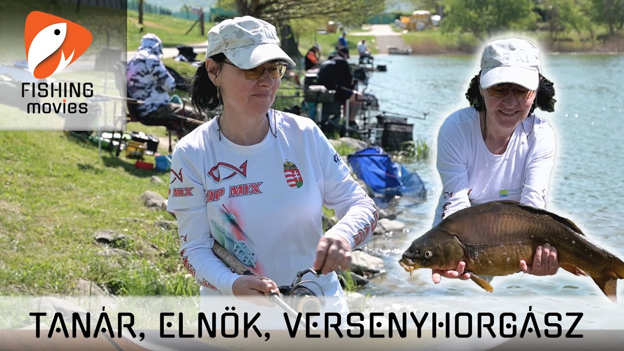 Tan&aacute;r, eln&ouml;k, versenyhorg&aacute;sz