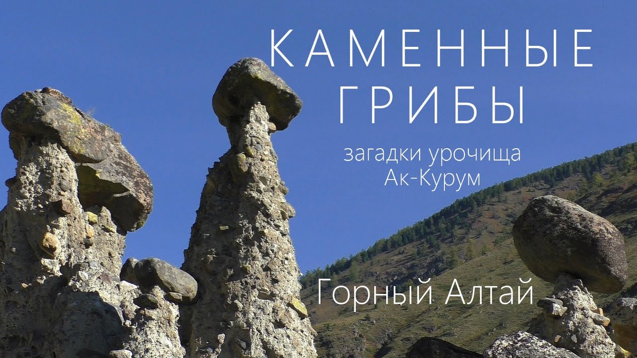 Каменные гибы. Загадки урочища Ак-Курум (Аккурум). Горный Алтай. Дневник путешественника.