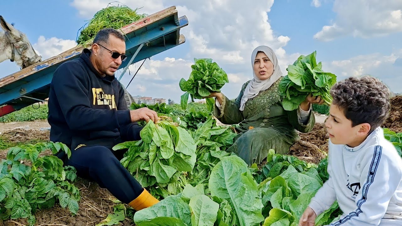 جوزى مصمم يفسحنى وانا صايمة🤦يوم رمضانى🌙⭐وسط الزرع والخضرة🥬🫛