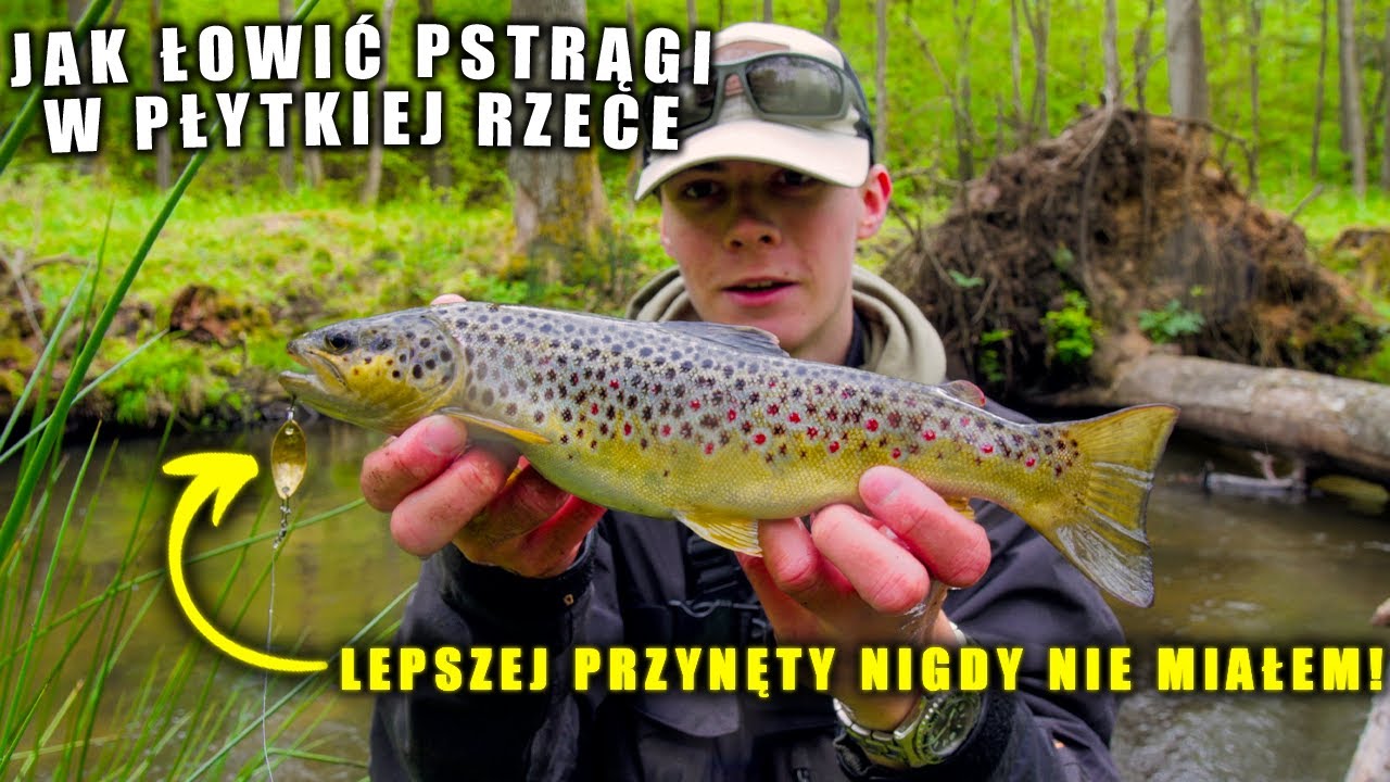 PSTRĄGI KOCHAJĄ ZŁOTO! | ŁOWIENIE PSTRĄGÓW W MAŁEJ RZECE NA WAHADŁÓWKI