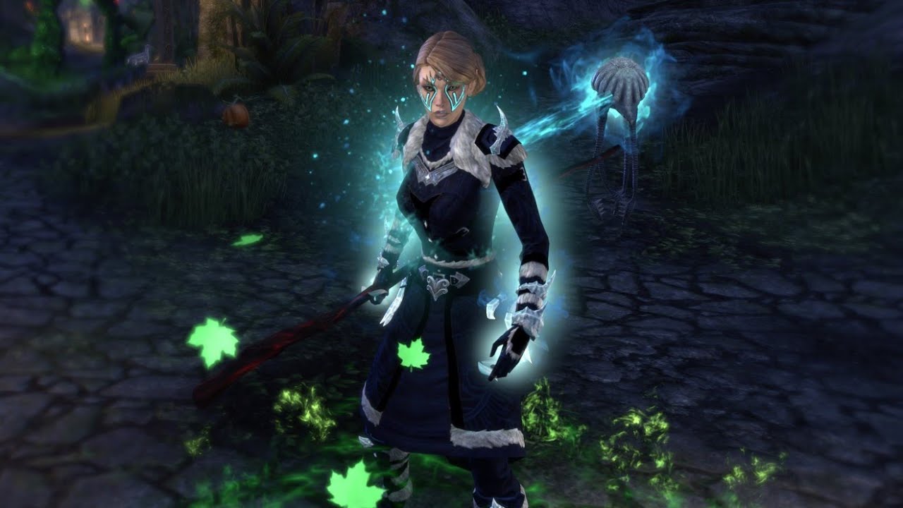 ESO - Frost Warden Dps Build