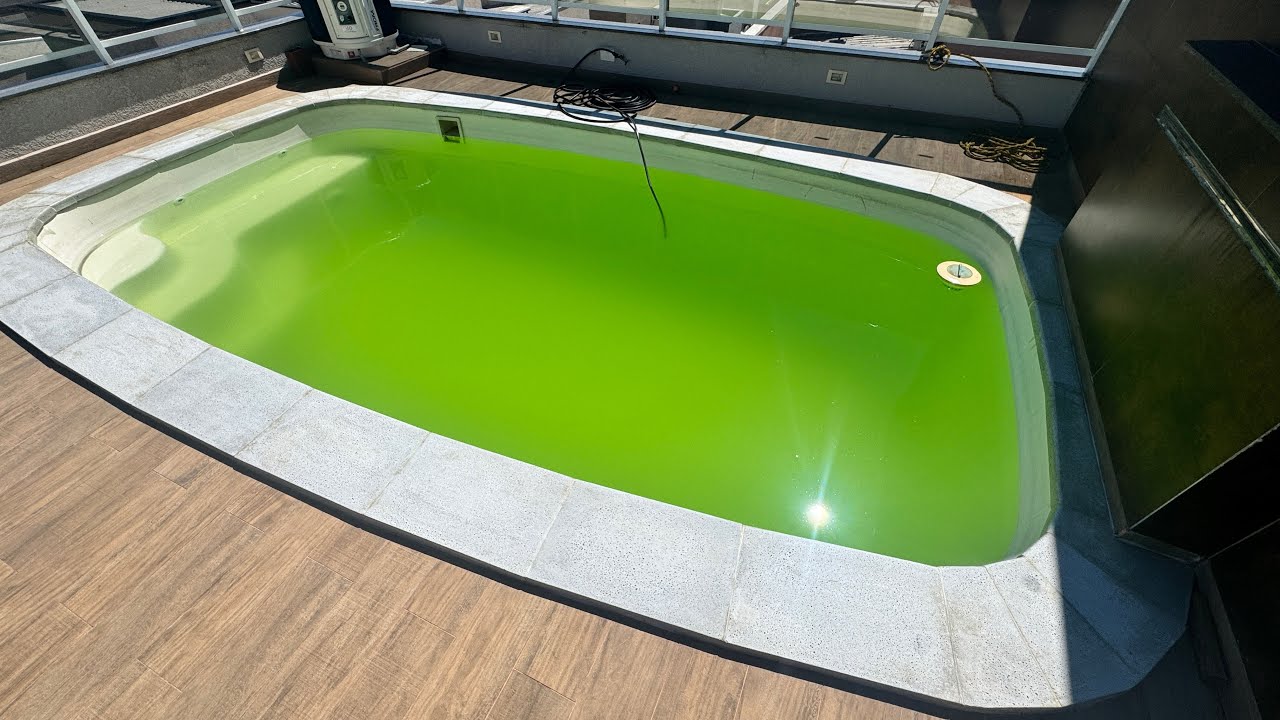 Piscina com água verde? Como resolver esse problema?