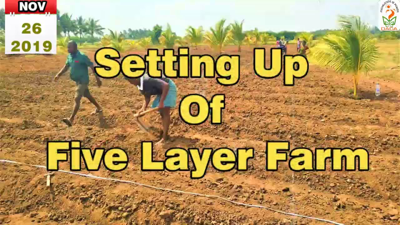 Five Layer Farm DACA, MDU