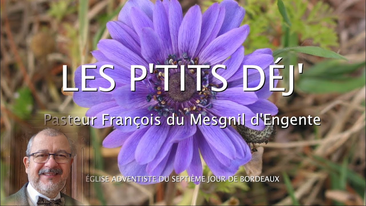 902 - Les P'tits déj' spirituels - Je suis à mon bien aimé - Cantique 6.3