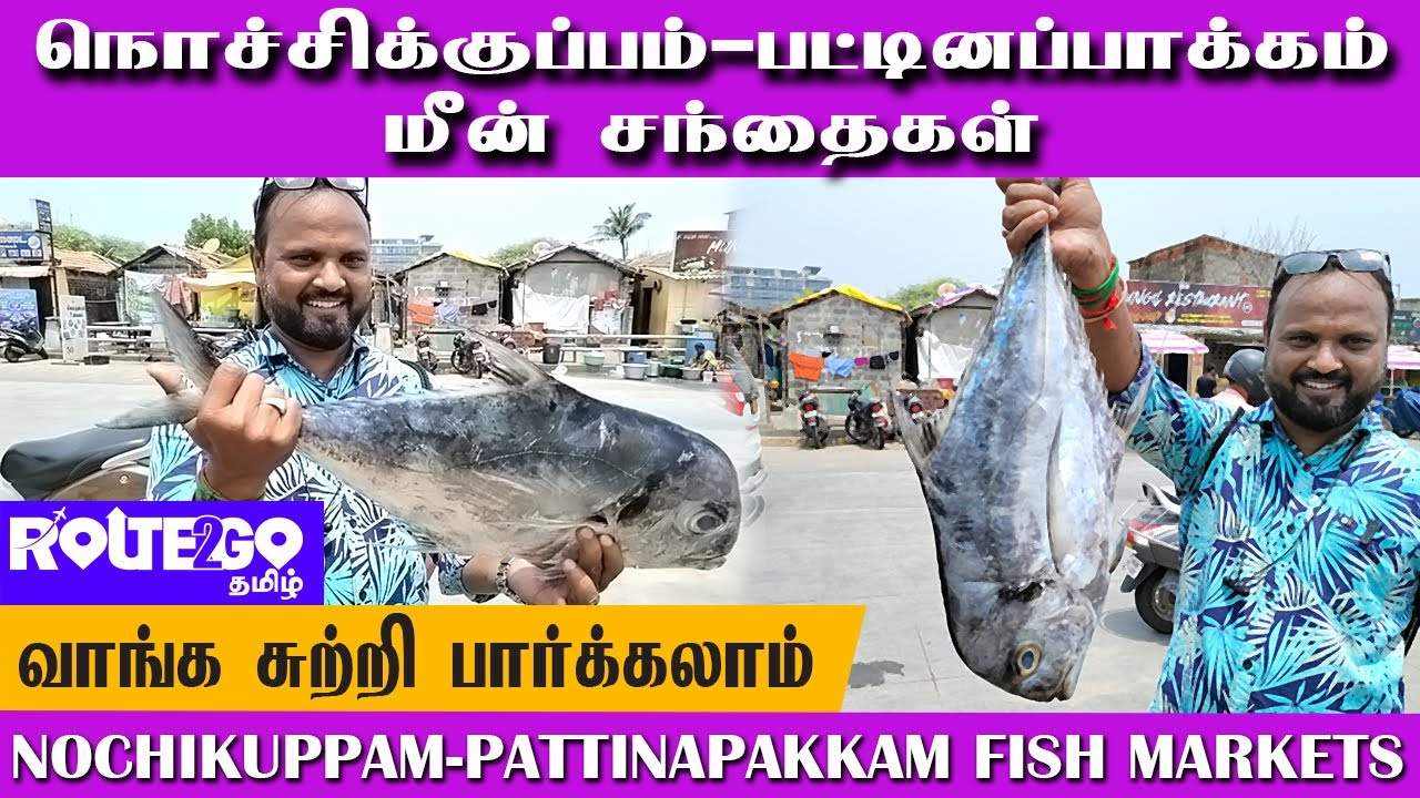 🐟 நொச்சிக்குப்பம்-பட்டினப்பாக்கம் மீன் சந்தைகள் 🐠 | Pattinapakkam Fish Market 