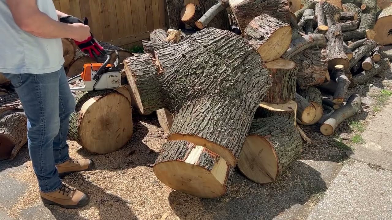 Massive Crotch Log Cutting