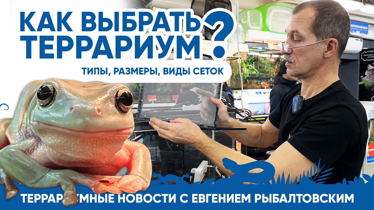 🦎 Террариумные новости с Евгением Рыбалтовским. Как выбрать террариум.