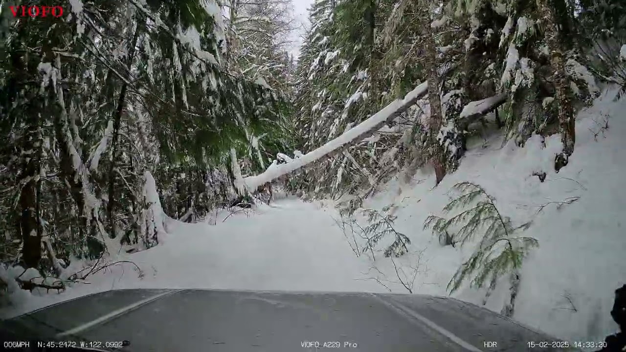 Fresh spring snow, first on the road  Part 1
