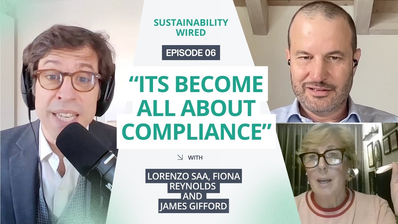 Does Sustainable Investing Need a Reset or a Revolution?