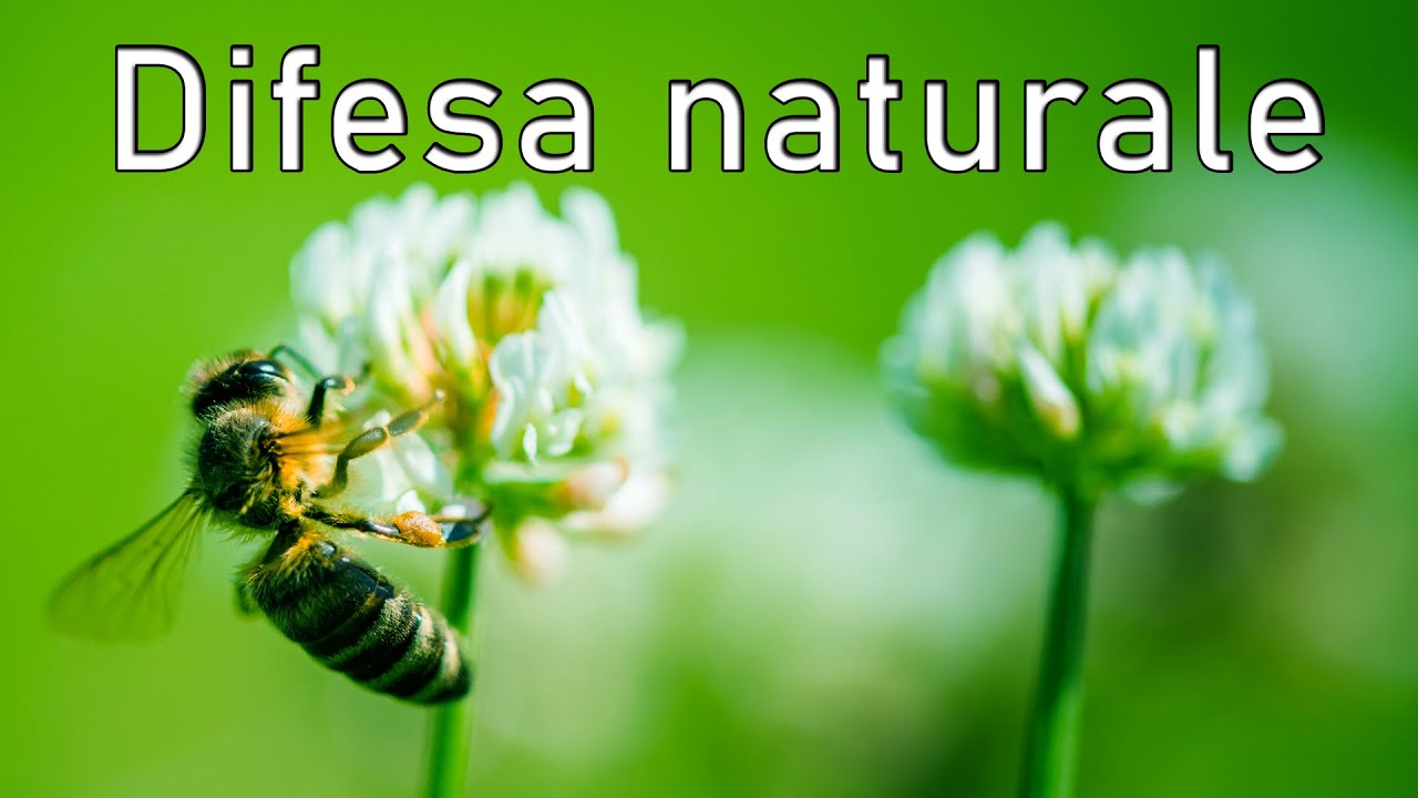 Difesa naturale per agricoltura