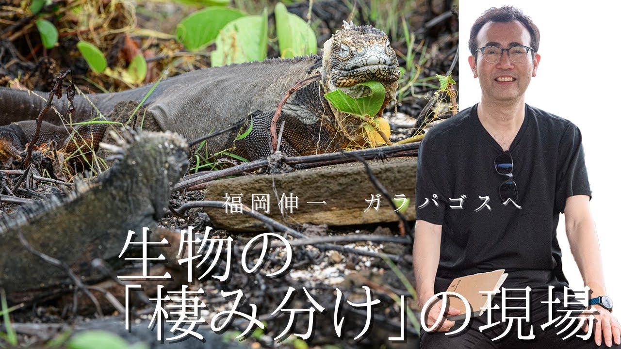 【福岡伸一】生物の「棲み分け」とは？