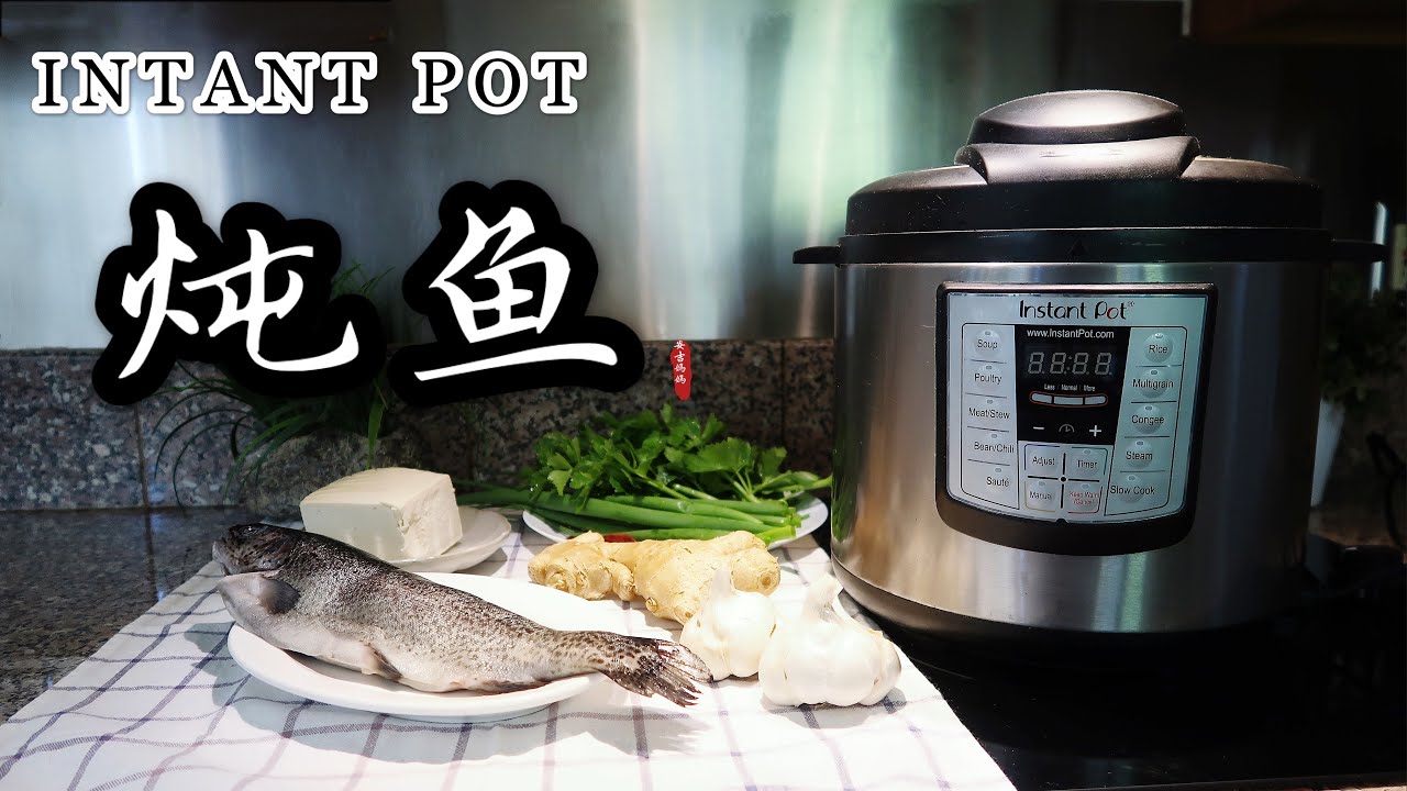 【电子压力锅食谱】炖鱼 ｜Instant Pot Fish Stew With Tofu | Chinese Recipe
