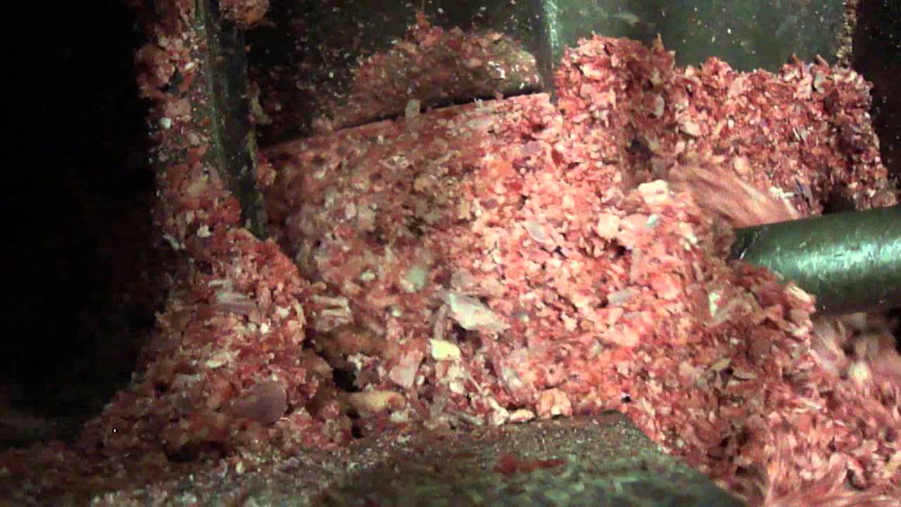 Triturador de Ossos - Vídeo 1