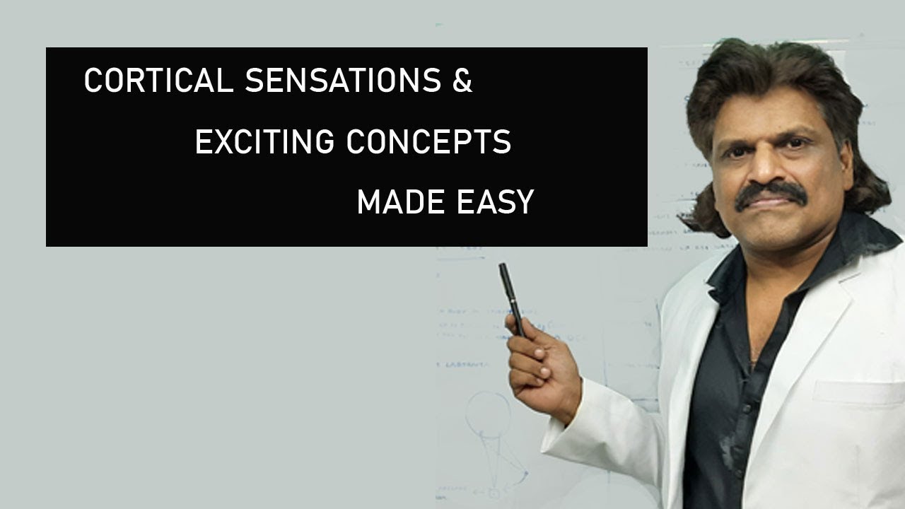 CORTICAL SENSATIONS & EXCITING CONCEPTS MADE EASY