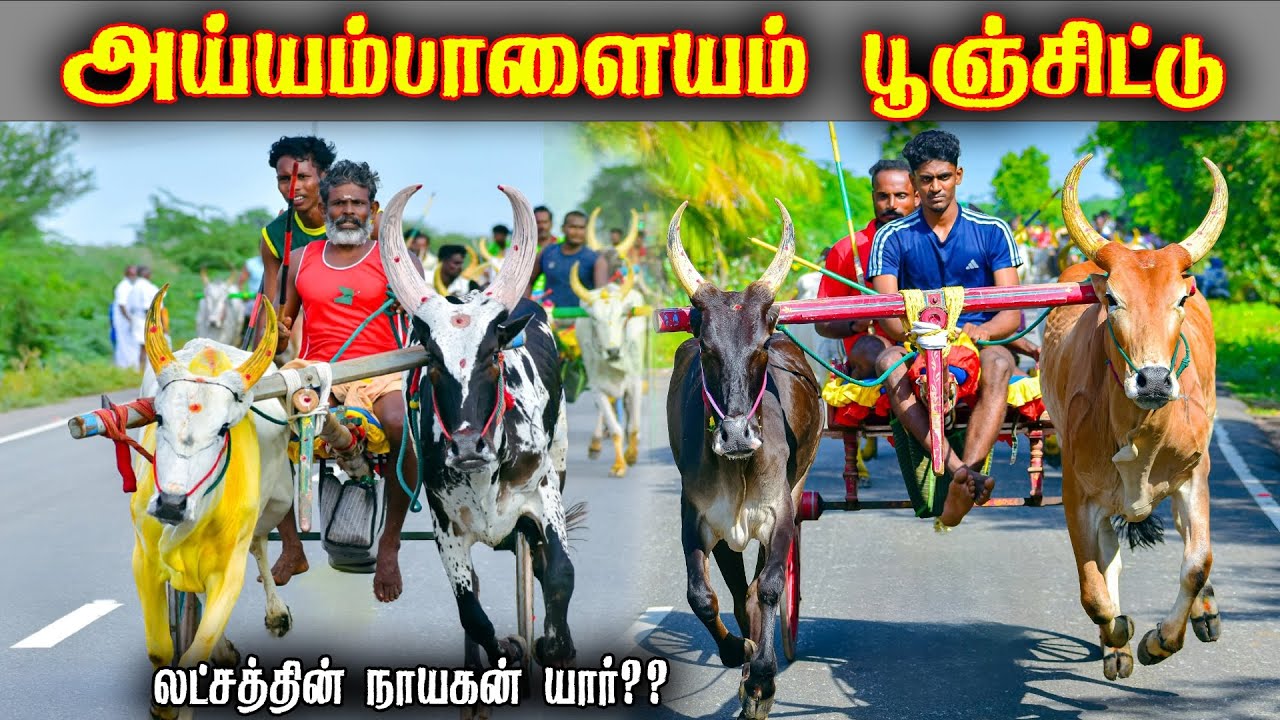 ⭕LIVE|அய்யம்பாளையம் லட்சத்தின் நாயகன் யார் பூஞ்சிட்டு.2.  1,00,001ஆயிரம் யாருக்கு??