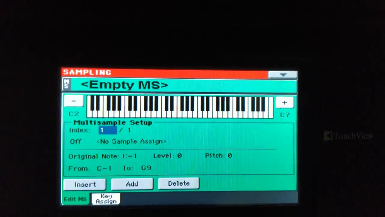 #T291 Cum ștergem un sampler in Korg Pa300   How You delete sampler