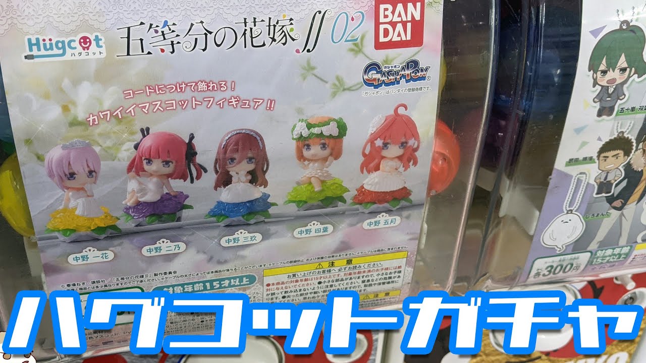 花嫁衣装のデフォルメフィギュア！ハグコット五等分の花嫁∬02ガチャ回してみた