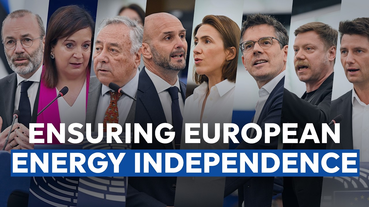 The Middle East crisis and Europe's energy needs