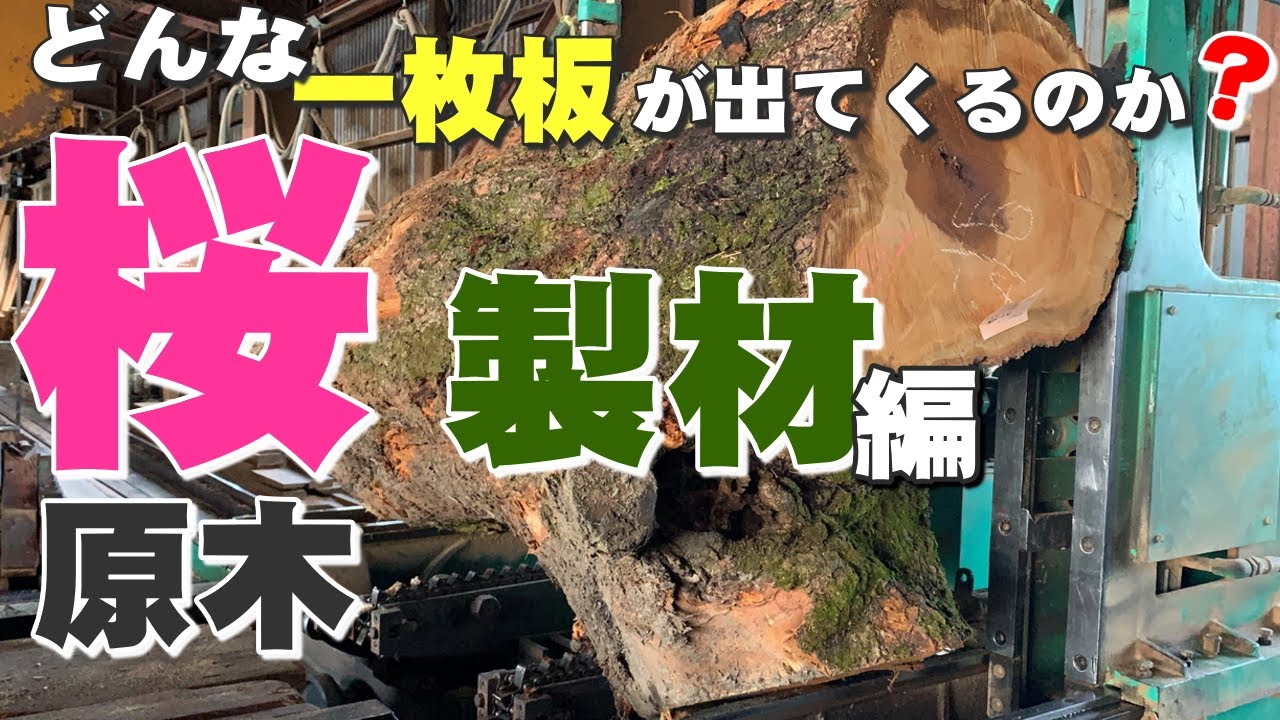 岩手のサクラ原木を製材しました。二股の原木は製材が大変です。Japanese cherry Sawing (English subbed)