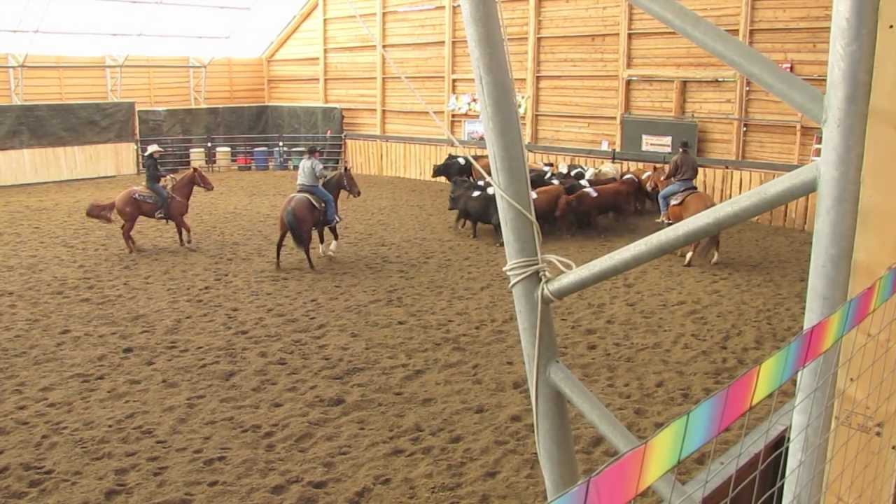 Team Penning