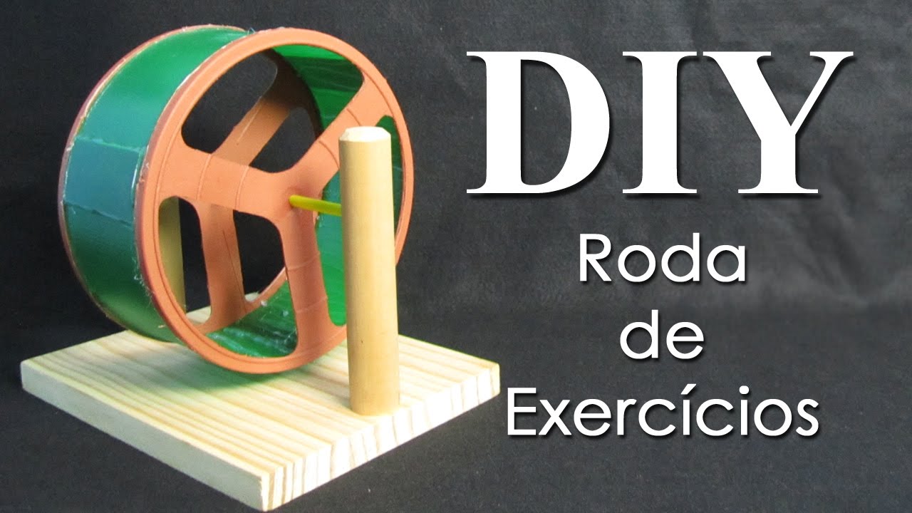 DIY: Roda de Exercícios para Hamster