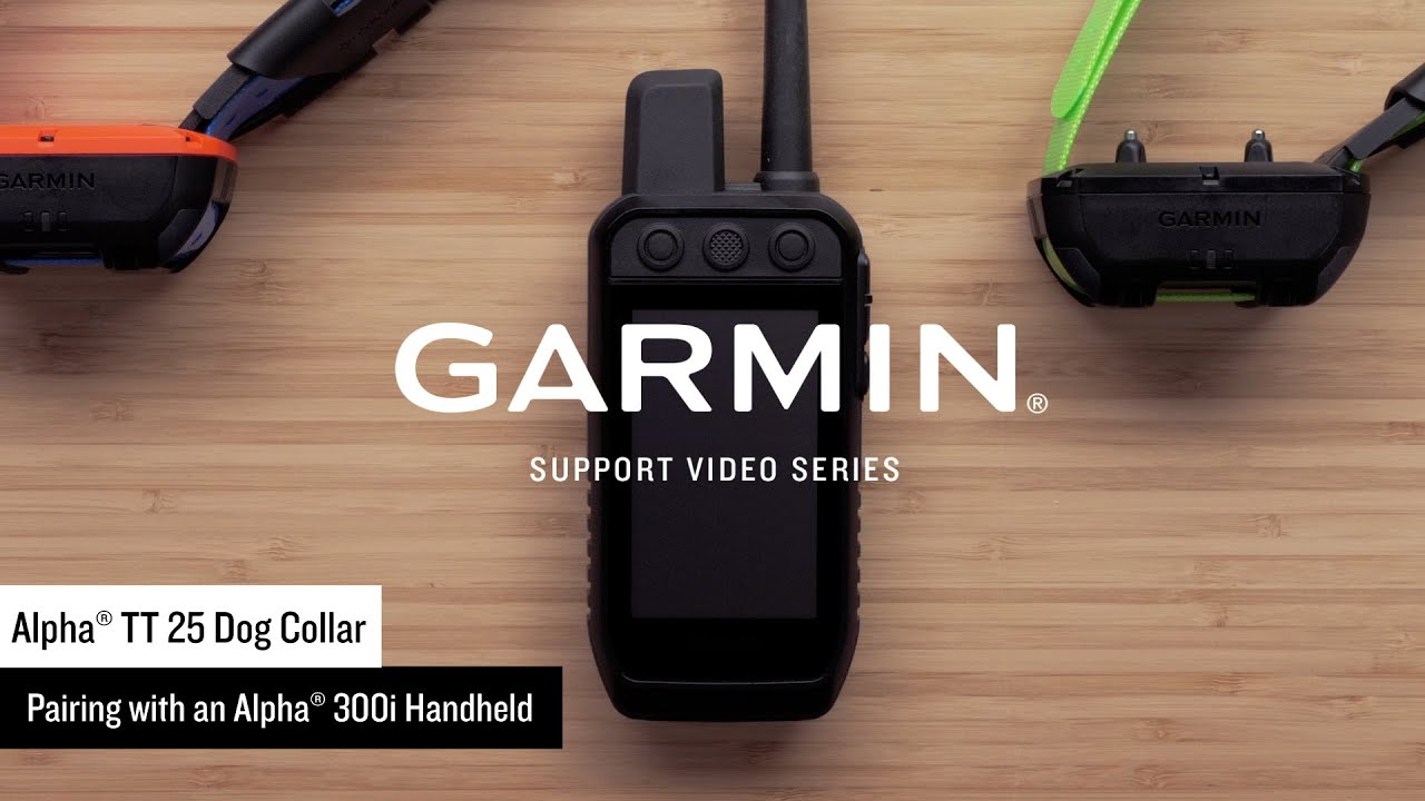 Поддержка Garmin | Собачий ошейник Alpha® TT 25 | Сопряжение с Alpha® 300i