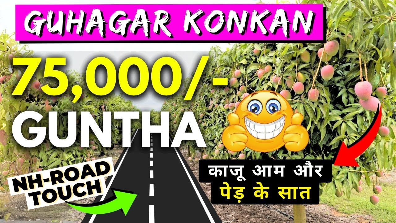 100% TITLE CLEAR GUHAGAR NH-166E ROAD TOUCH PLOT FOR SALE HIGH RETURN LAND WITH MANGO CASHEW TREE