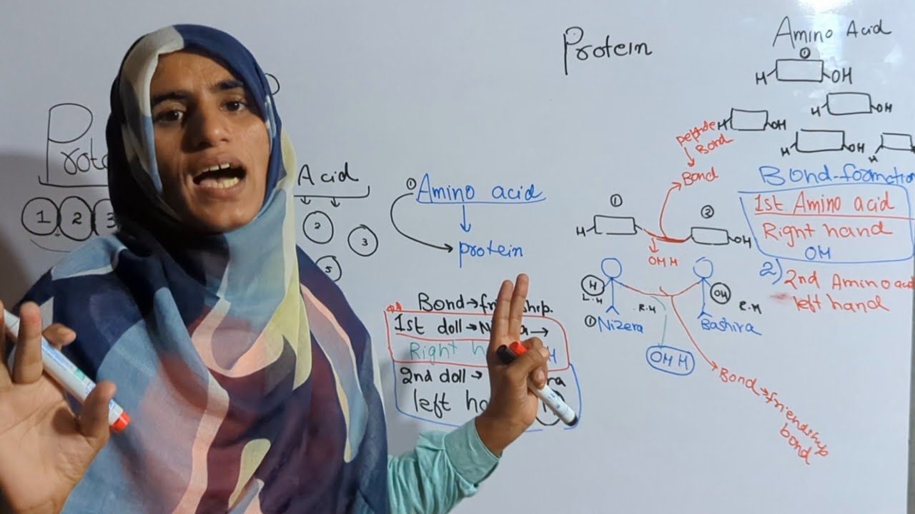 Protein and Aminos acid| Biomolecules |Biochemistry| Class 11 Biology| Trailer Part 3