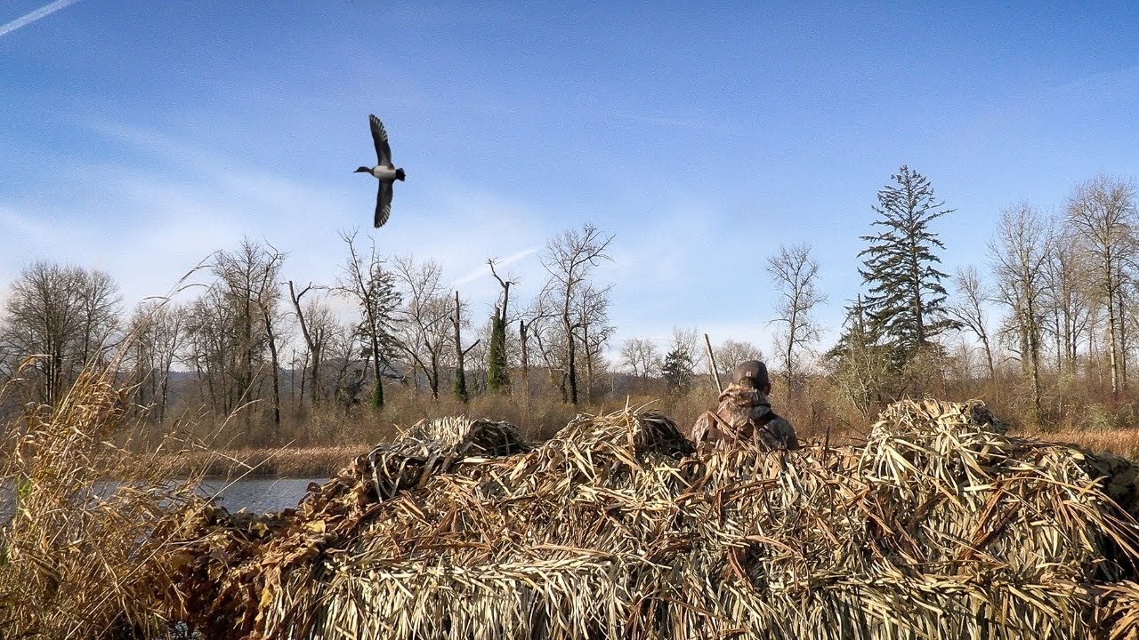 Hunting Alone on a Remote Island from my Duck Boat Blind