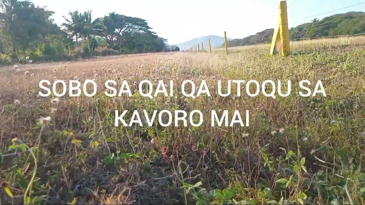 ISA KOI AU