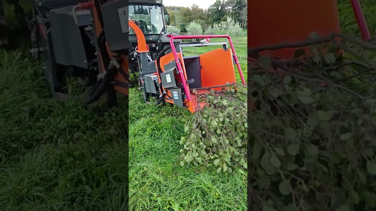 Cippatore AARDENBURG - LIGNUM M 120