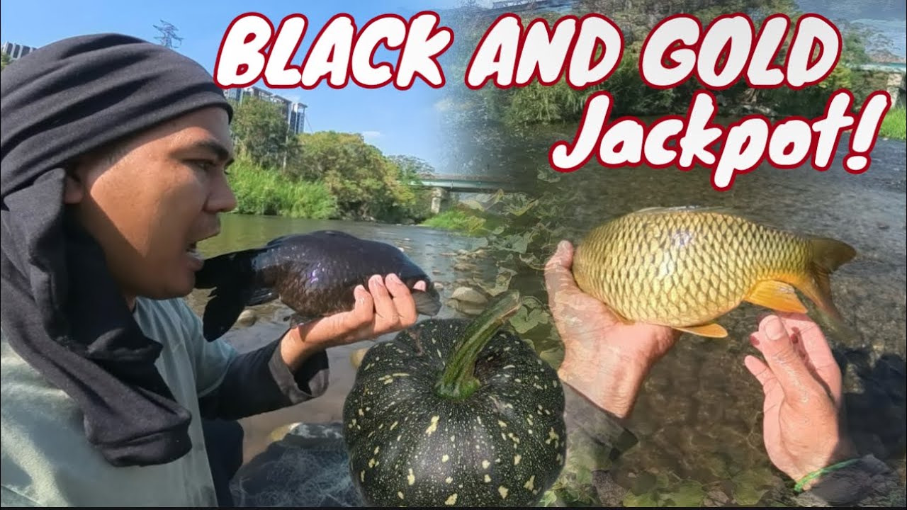 Nasimot na lahat mga ligaw na gulay sa gilid ng ilog!