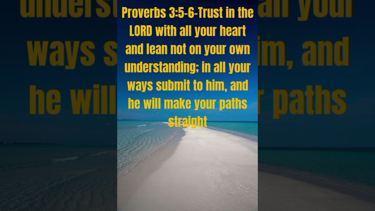 Proverbs 3:5-6(NIV)Bible Verse