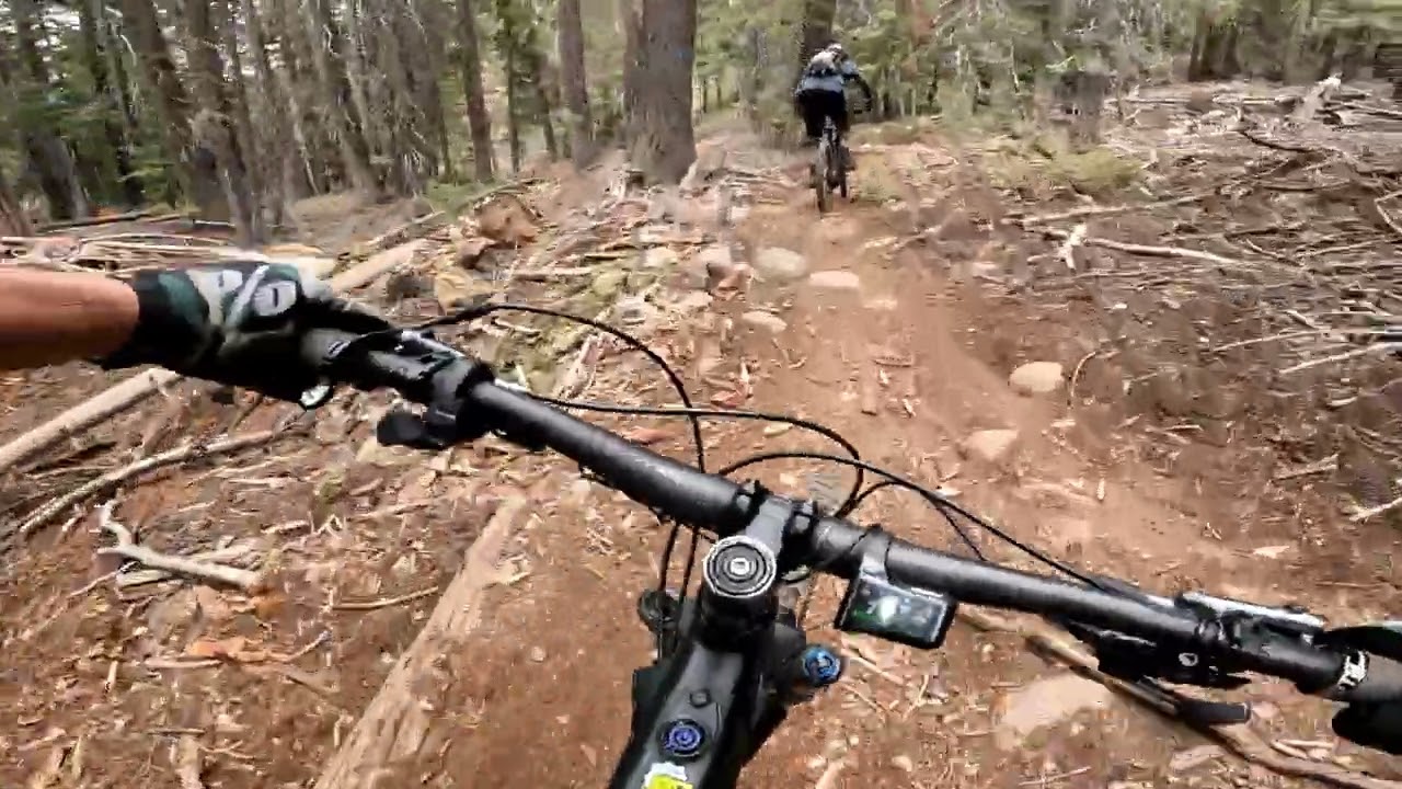 Coup De Grace - Niner Wfo e9 - Focus Jam²