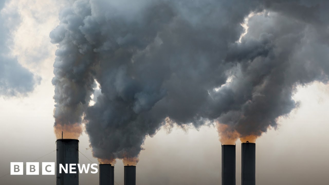 Climate crisis: New carbon capture method revealed by scientists - BBC News