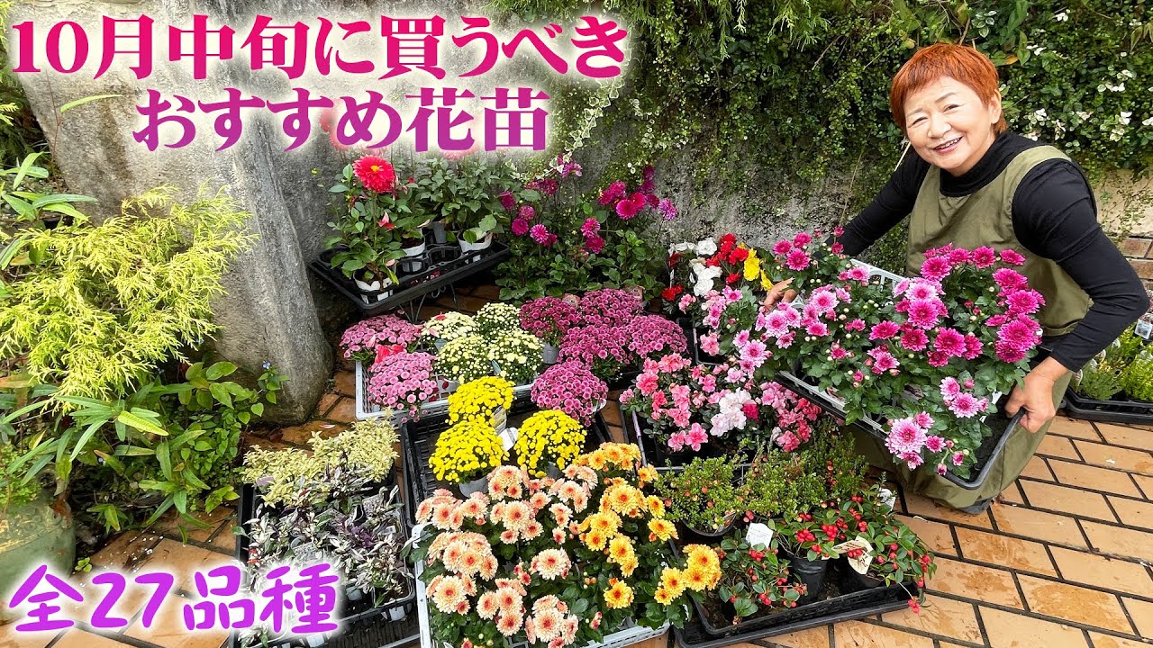 【10月に買うべき宿根草と一年草】第二弾！全力で秋を楽しむための主役の花から脇役のリーフプランツまで全27品種を一挙公開【ガーデニング】