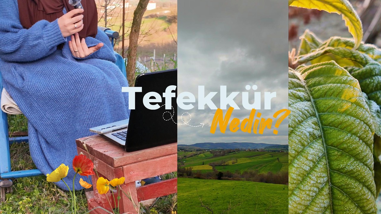 bakışını değiştir, dünyan değişsin: tefekkürün hakikati