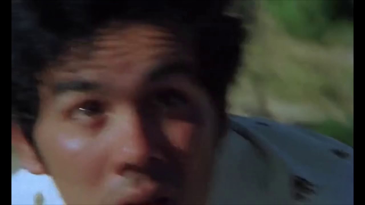 Alambrista (1977)