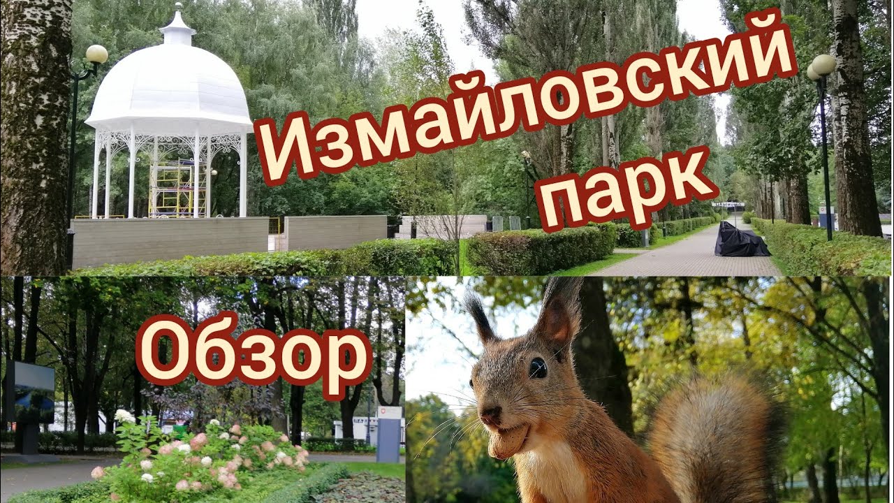 Измайловский парк. Где можо отдохнуть в Москве. Парки в городе. Интересные места Москвы. Белки.
