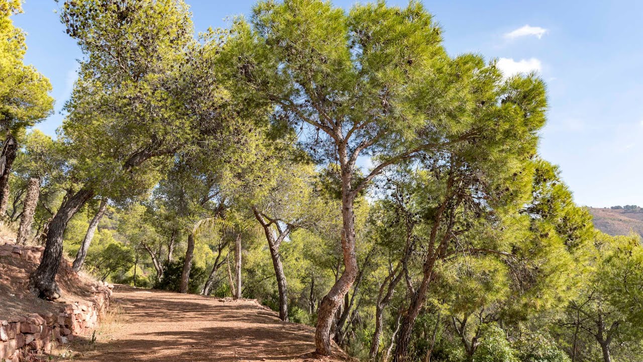 Descubre las rutas accesibles en el Parque Natural de la Sierra Calderona #MediterráneoEnAcción
