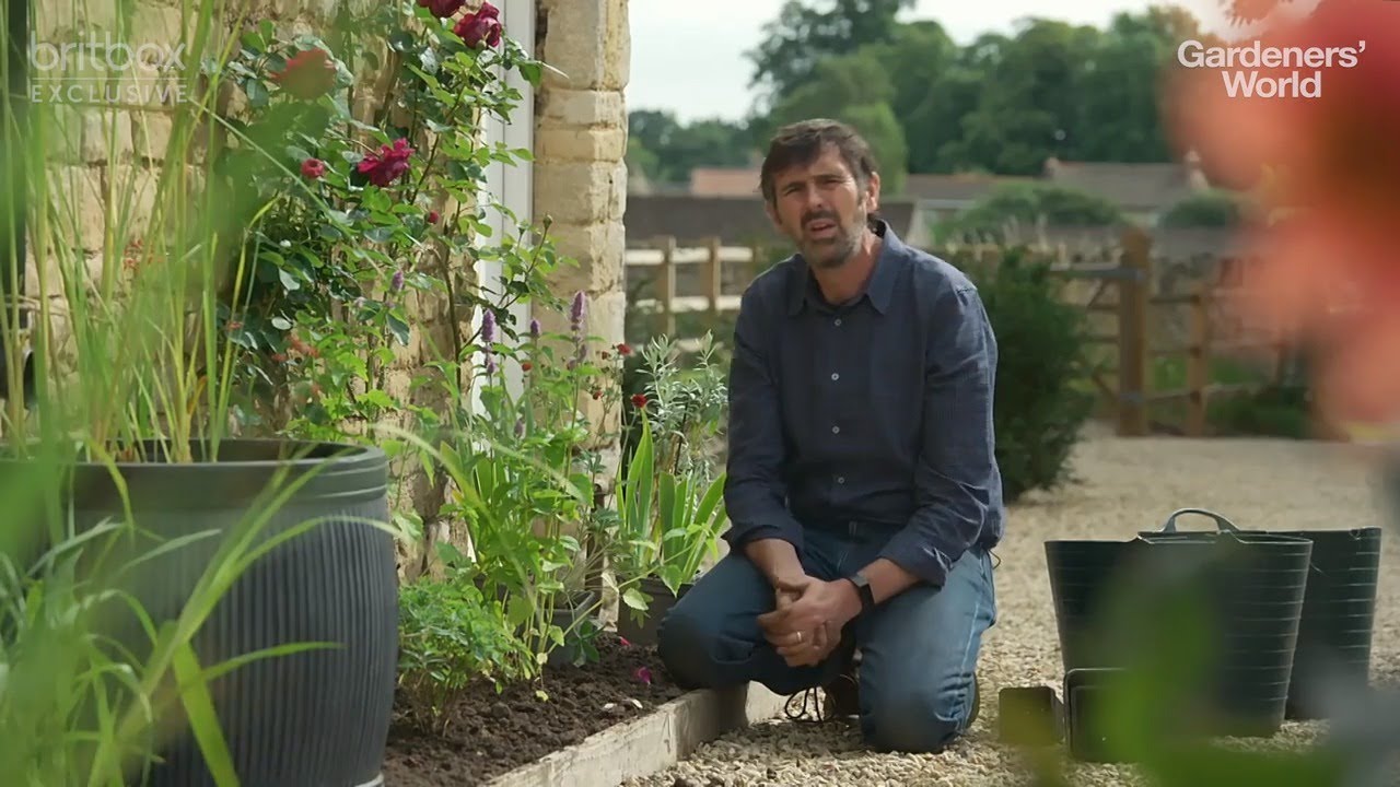 Tips for Planting Against a Wall with Adam Frost