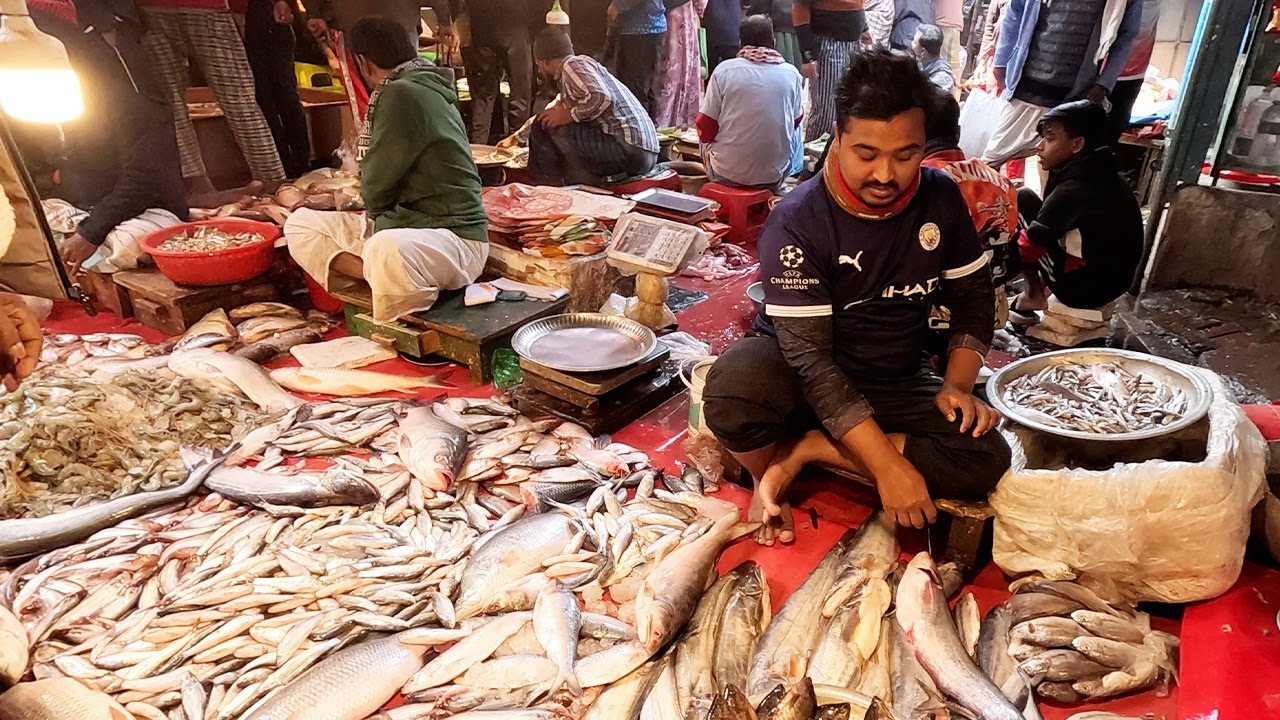 Fish Wholesale Prices EXPOSED at Rajshahi Market