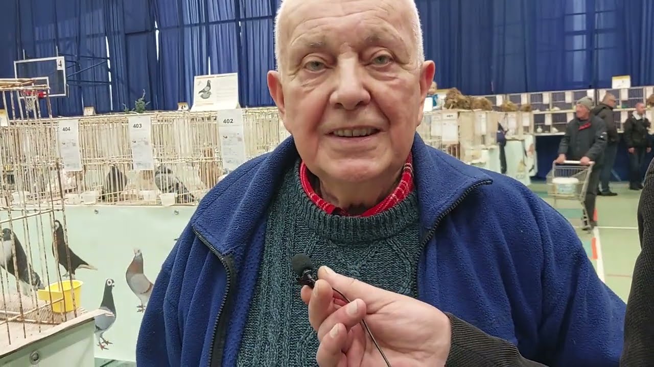 Białogłówki gdańskie krótkodziobe na Wystawie w Rumii.