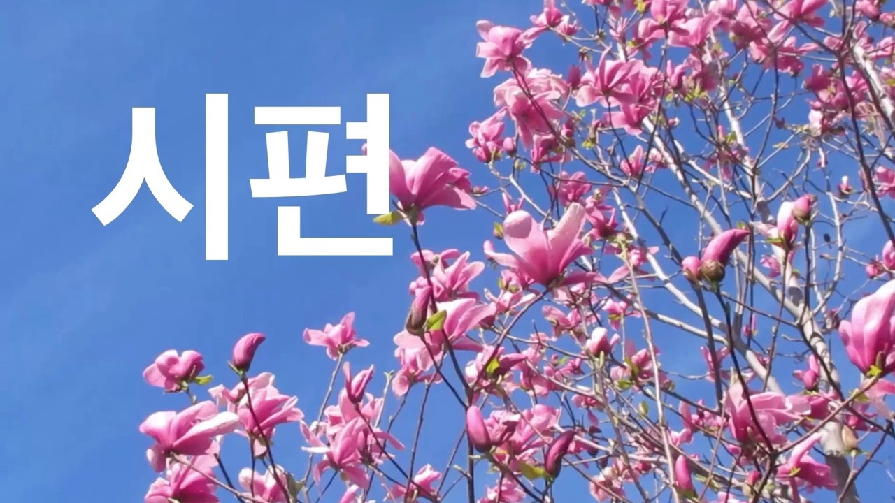 [시편] 9. 하나님이여 나를 구원하소서 물들이 내 영혼에까지 흘러 들어왔나이다 - Holy Channel 홀리채널 - 박은순 목사