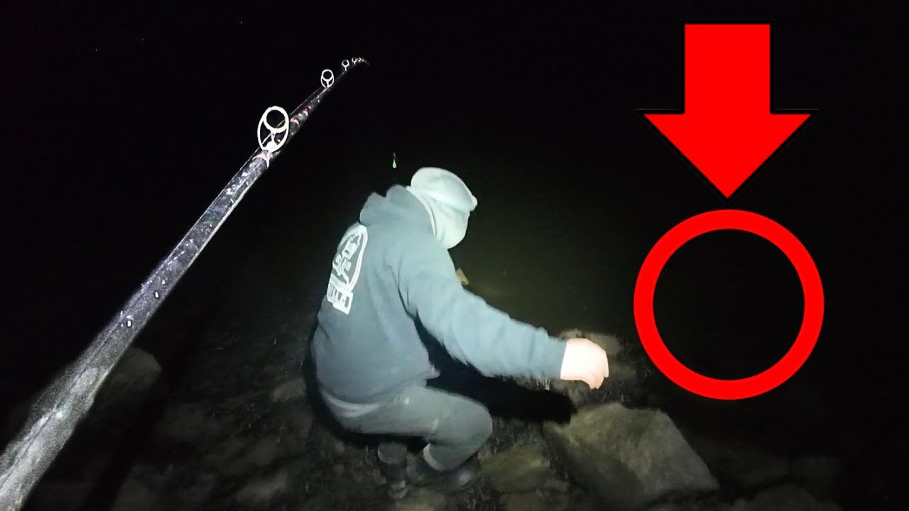 We Went Searching for SHARKS and CONGERS...