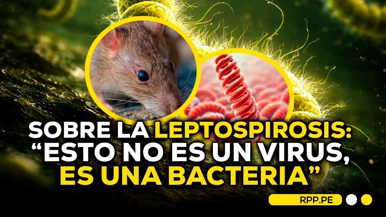INFECTÓLOGA SOBRE LA LEPTOSPIROSIS: 
