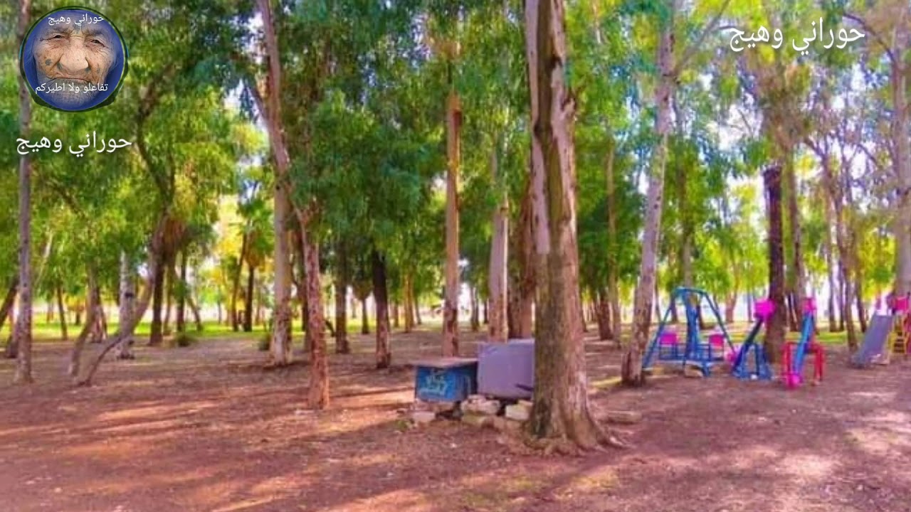 حبيت ما حبيت ما شاورت حالي . . .