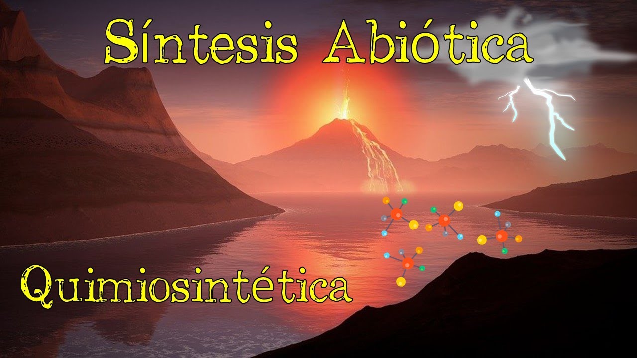 💥 Teor&iacute;a de la S&iacute;ntesis Abi&oacute;tica o Quimiosint&eacute;tica 💥 [F&aacute;cil y R&aacute;pido] | BIOLOG&Iacute;A |