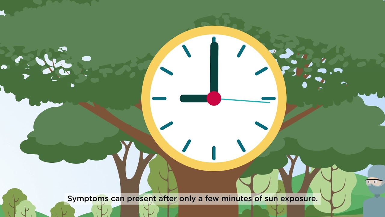 Manchester Biomedical Research Centre: Advancing dermatology research and treatment