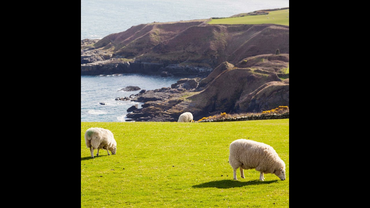 COUNTRYSIDE 10 FEBRUARY 2026